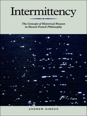 cover image of Intermittency